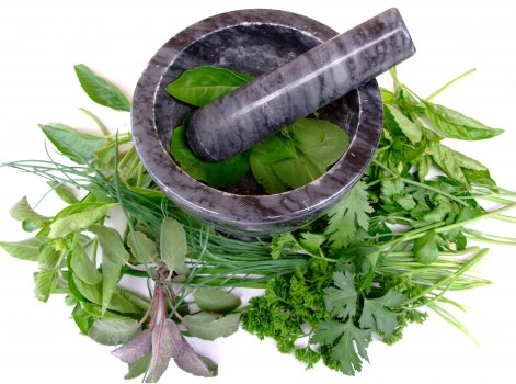 herbs_safety_img.jpg