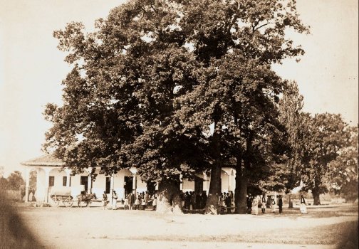 Kumodraz_slikao_I__Grosman_1876_.jpg