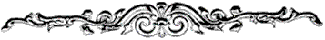 vinjeta2